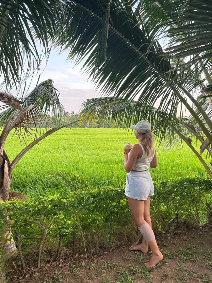 Viveka Inn Guest And Yala Safari تيساماهاراما المظهر الخارجي الصورة