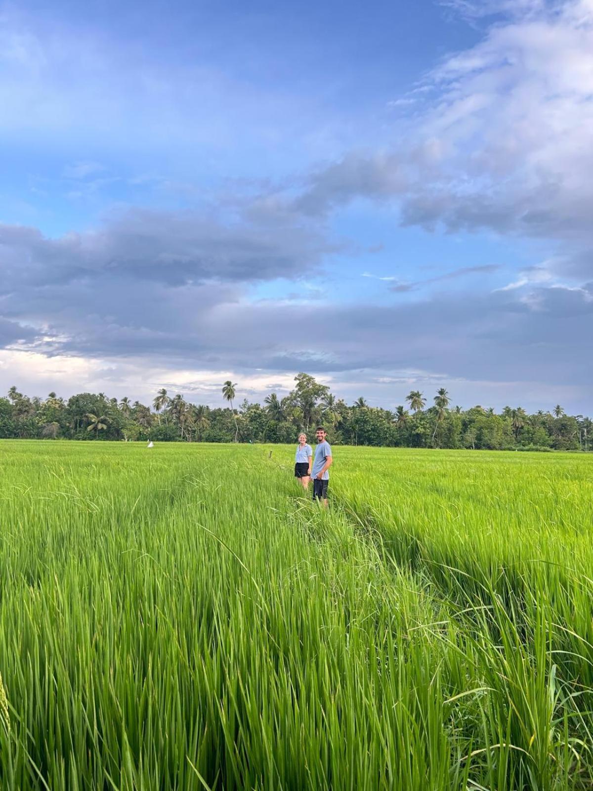 Viveka Inn Guest And Yala Safari تيساماهاراما المظهر الخارجي الصورة