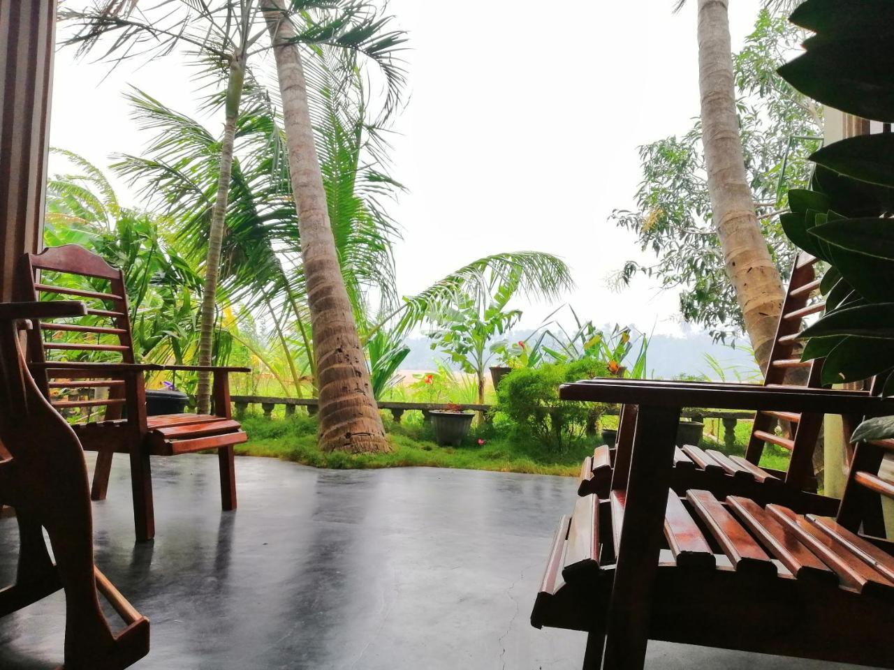 Viveka Inn Guest And Yala Safari تيساماهاراما المظهر الخارجي الصورة