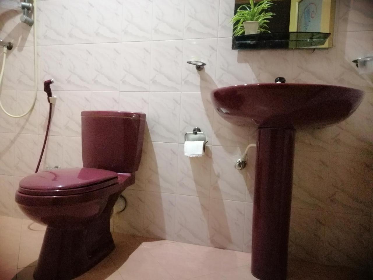 Viveka Inn Guest And Yala Safari تيساماهاراما المظهر الخارجي الصورة
