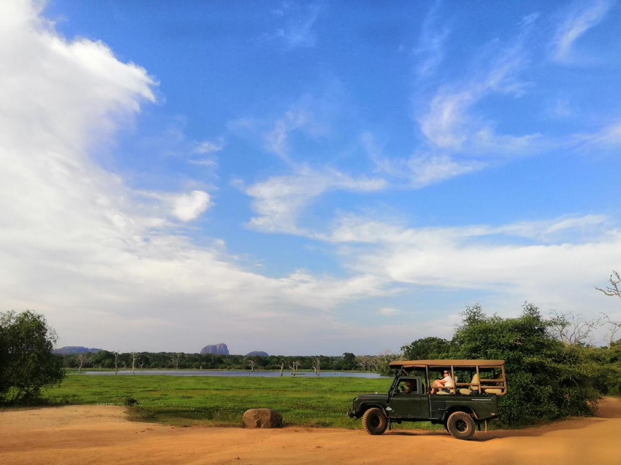 Viveka Inn Guest And Yala Safari تيساماهاراما المظهر الخارجي الصورة