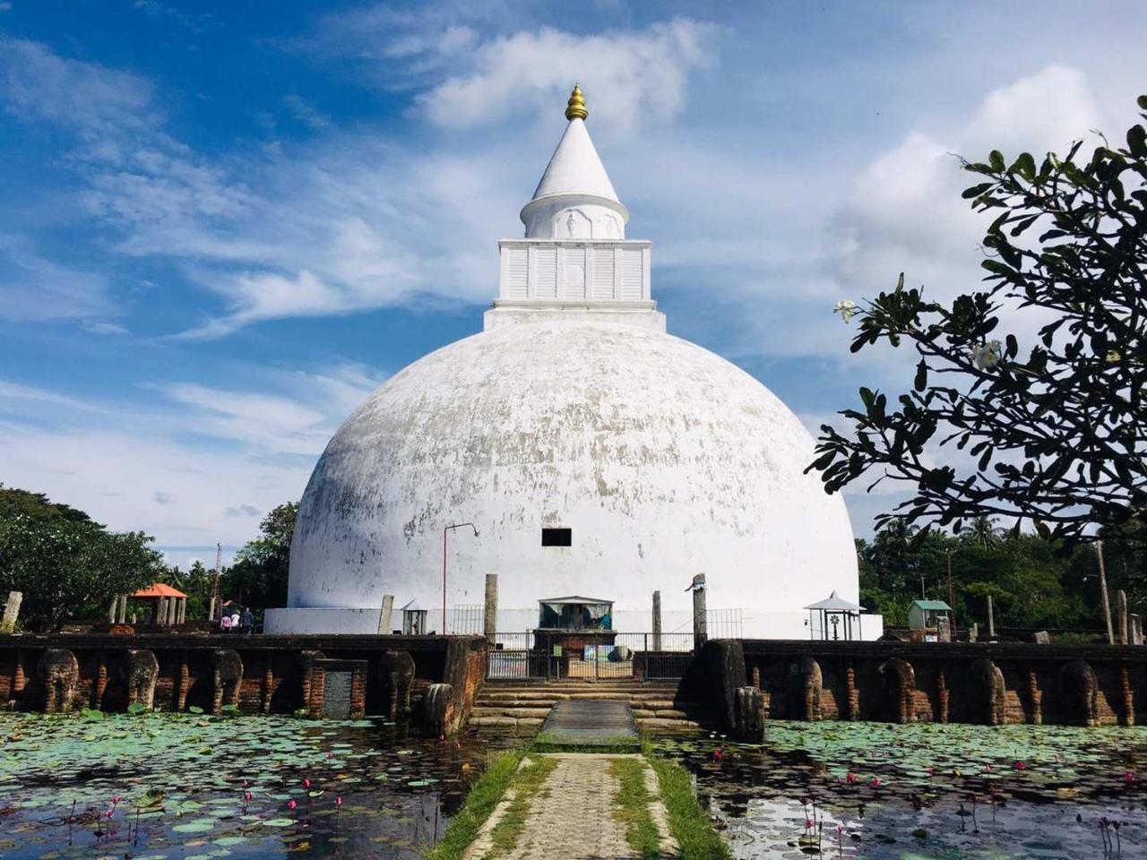 Viveka Inn Guest And Yala Safari تيساماهاراما المظهر الخارجي الصورة