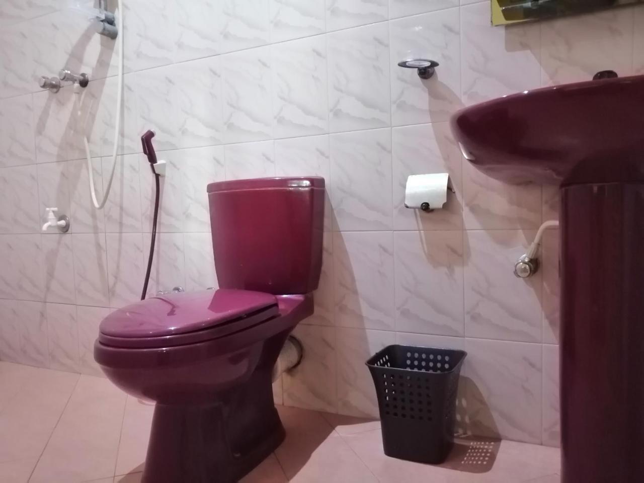 Viveka Inn Guest And Yala Safari تيساماهاراما المظهر الخارجي الصورة