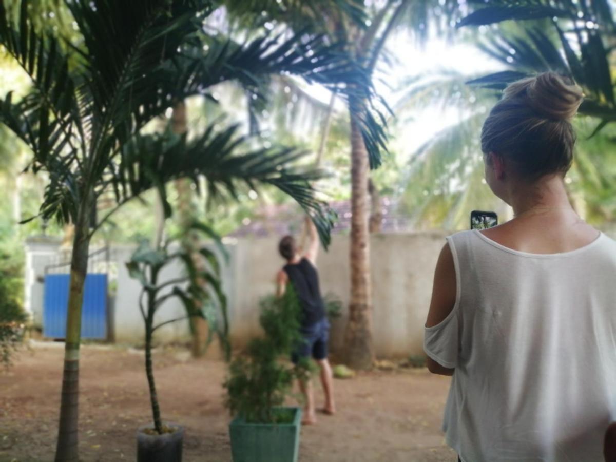 Viveka Inn Guest And Yala Safari تيساماهاراما المظهر الخارجي الصورة